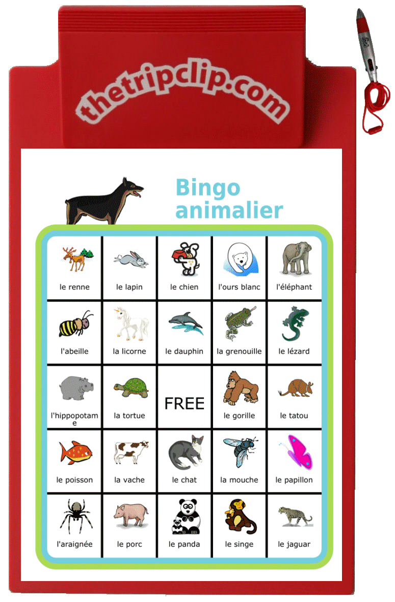 Bingo board with a dog at the top