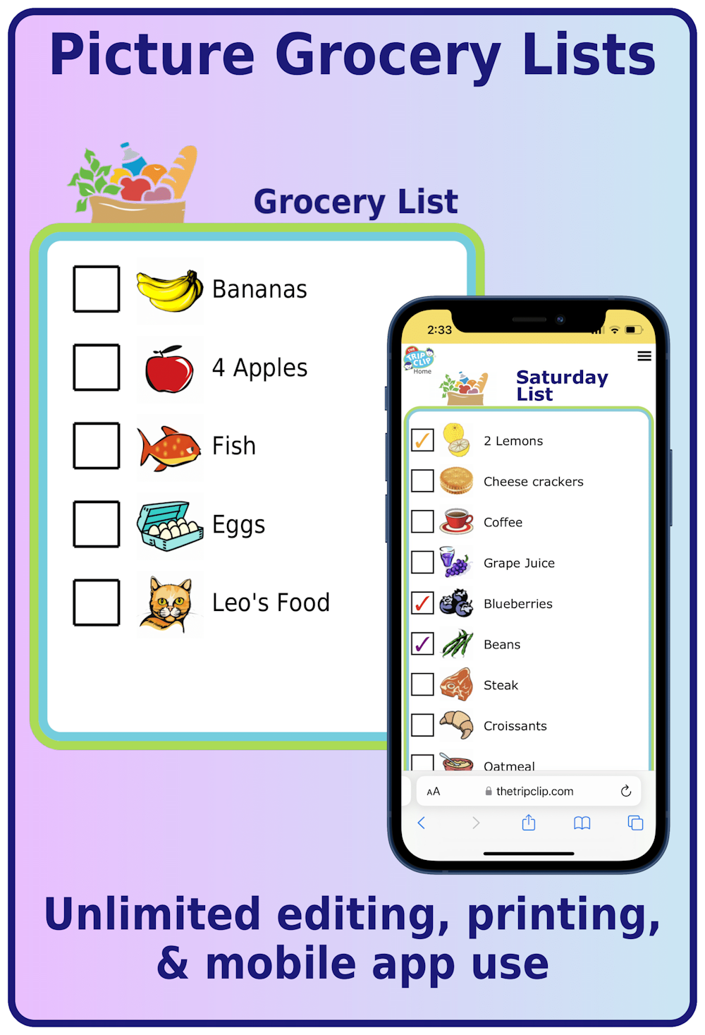 Picture grocery shopping list: bananas, apples, fish, eggs, milk