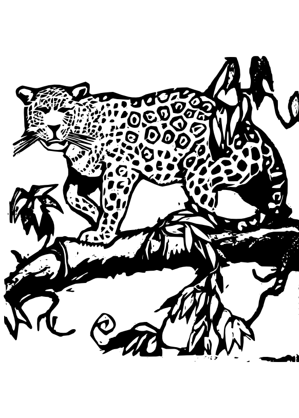 2 coloring pages: a turtle and a castle