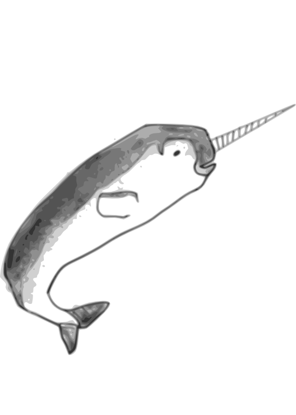 2 coloring pages: a turtle and a castle