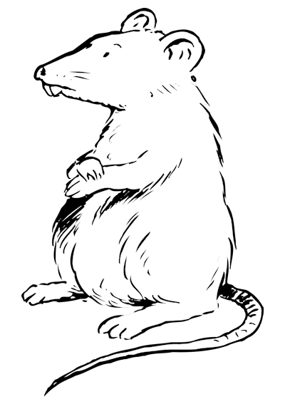 2 coloring pages: a turtle and a castle