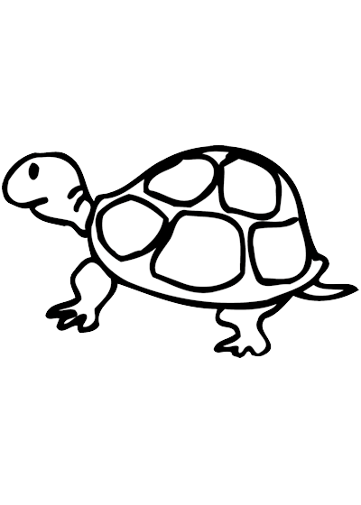 2 coloring pages: a turtle and a castle