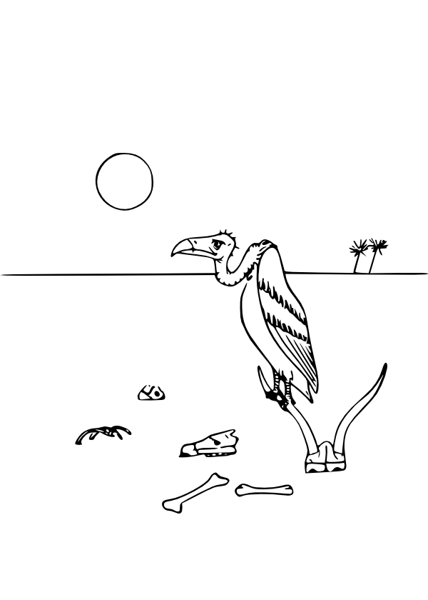 2 coloring pages: a turtle and a castle