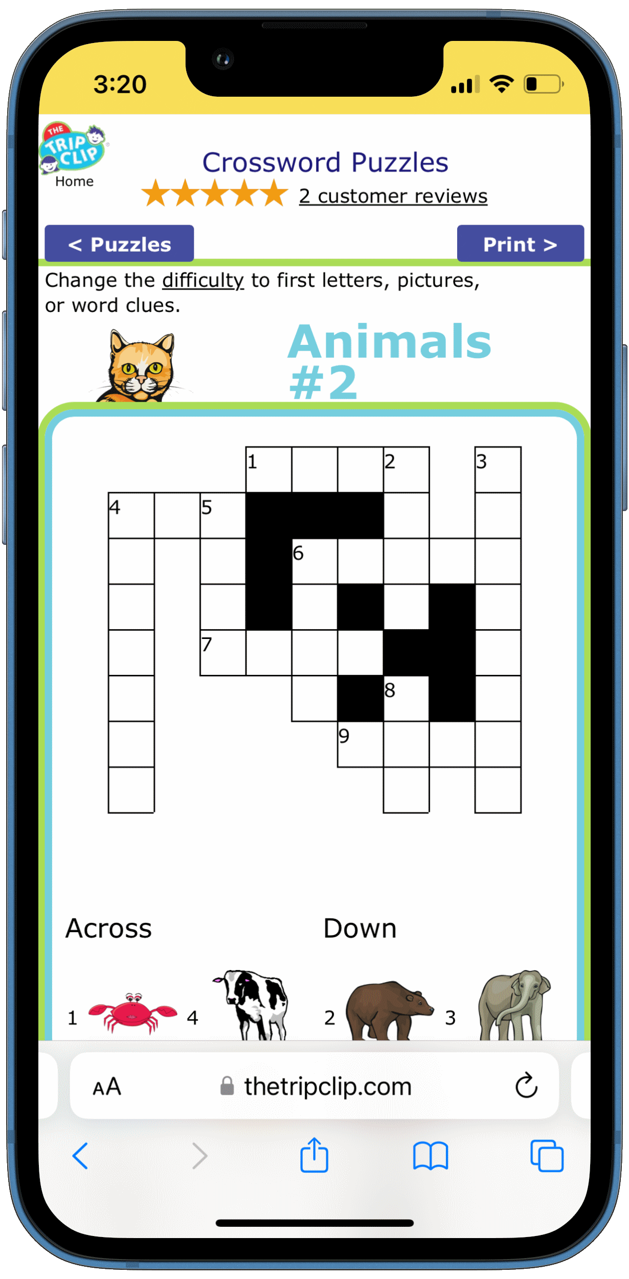 Crossword puzzle with picture clues for kids