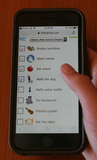 kid-sized clipboard or phone with lots of different picture checklists