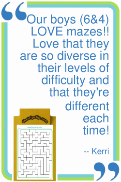 Positive review from a customer for the mazes activity